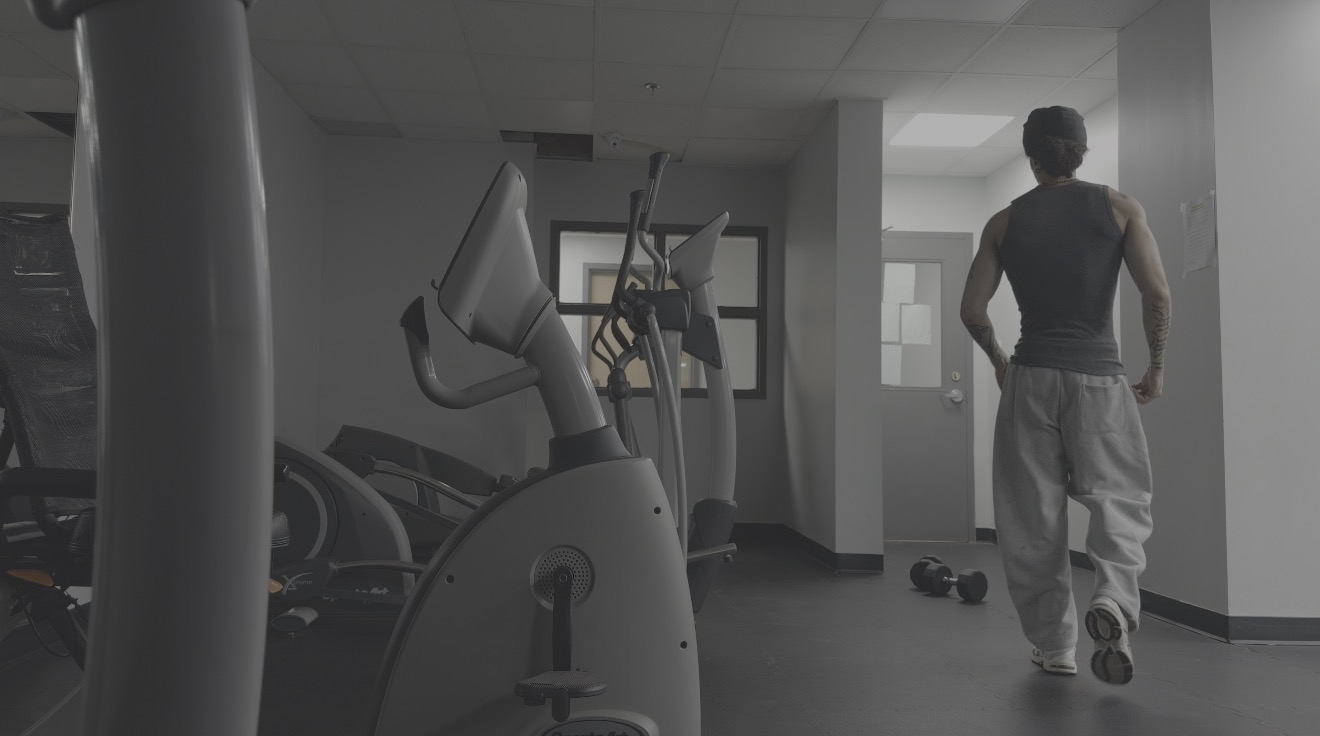 Original Apple Log 2 gym frame